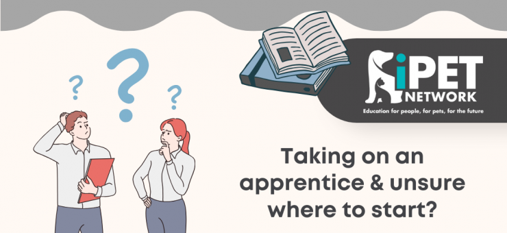CONSIDERING TAKING ON AN APPRENTICE? CHECK OUT OUR HELPFUL STEP-BY-STEP GUIDE //