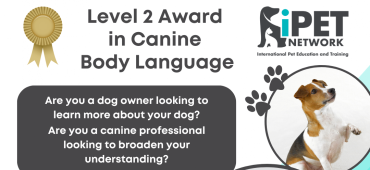 NEW QUALIFICATION - iPET NETWORK LEVEL 2 AWARD IN CANINE BODY LANGUAGE //