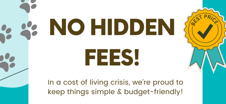 NO HIDDEN FEES - PRICING MADE SIMPLE //
