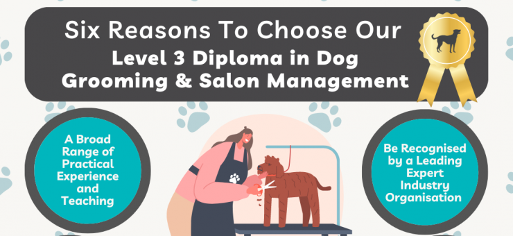 SIX REASONS TO CHOOSE OUR LEVEL 3 DIPLOMA IN DOG GROOMING & SALON MANAGEMENT //