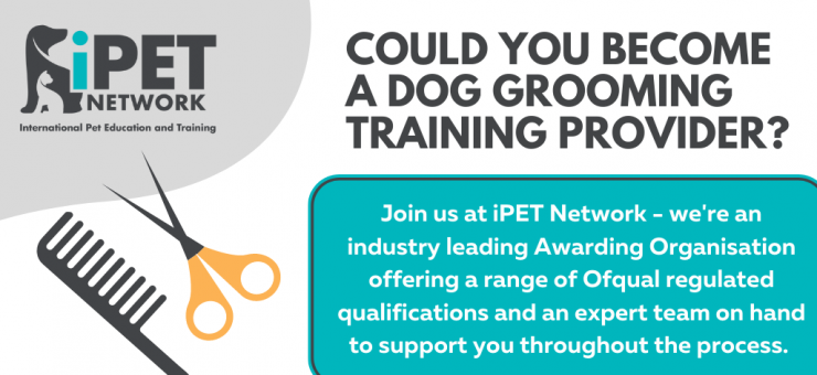 COULD YOU BECOME A DOG GROOMING TRAINING PROVIDER WITH iPET NETWORK? //