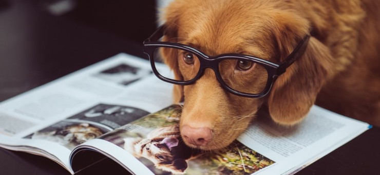 Courses and Qualifications Regulated vs Accredited 