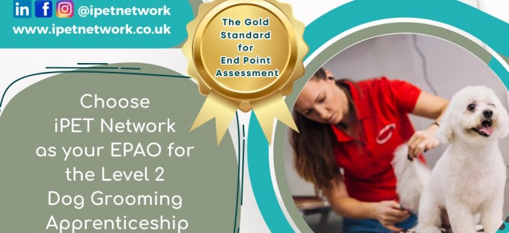 YOUR EPAO CHOICE FOR THE LEVEL 2 DOG GROOMING APPRENTICESHIP STANDARD //