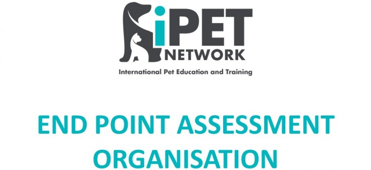 Happy New Year from iPET Network