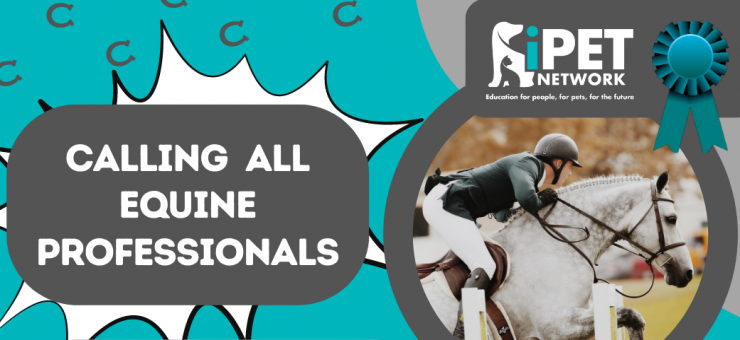 CALLING ALL EQUINE PROFESSIONALS - BECOME A TRAINING PROVIDER WITH iPET NETWORK & BOOST YOUR INCOME //
