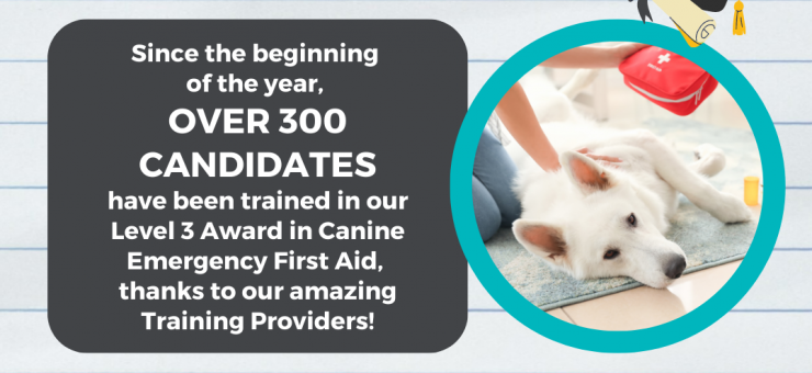 DID YOU KNOW? - OVER 300 CANDIDATES HAVE BEEN TRAINED IN OUR CANINE FIRST AID SINCE JANUARY //