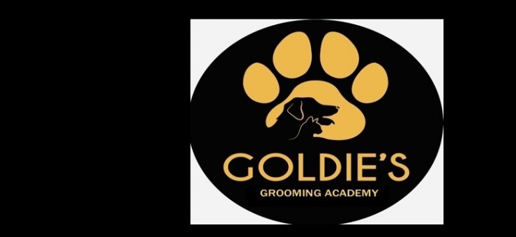 NOW OFFERING DOG GROOMING