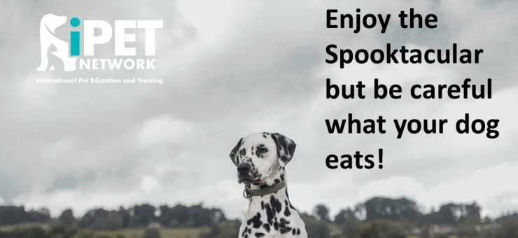 Enjoy the Spooktacular but be careful what your dog east!