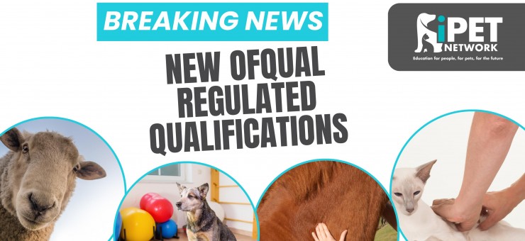 NEW QUALIFICATION LAUNCH // Veterinary Physiotherapy 