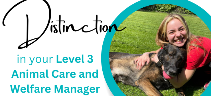 Level 3 Animal care and welfare manager - Distinction achieved!