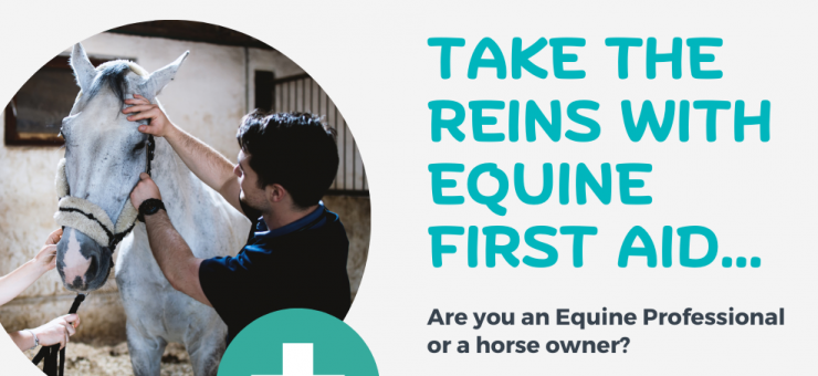 TAKE THE REINS WITH EQUINE FIRST AID //