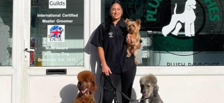 A passionate Ruislip dog groomer just can't wait to become a teacher offering high quality qualifications in the trade. 