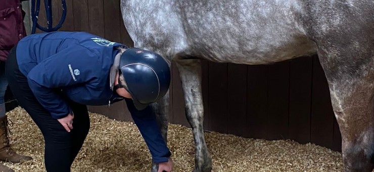 EQUINE EMERGENCY FIRST AID QUALIFICATION DAY //