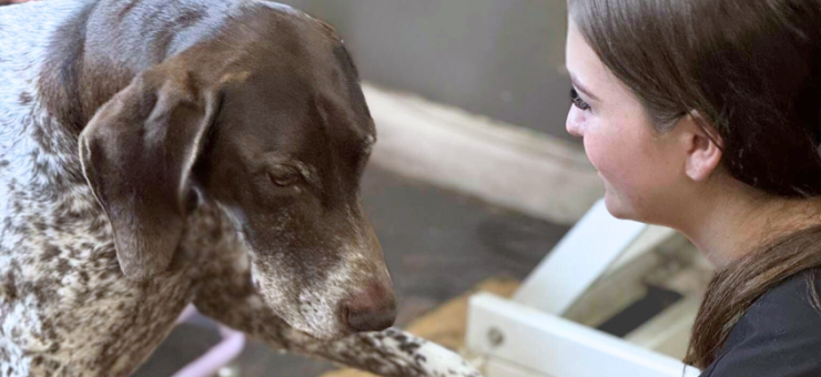 Haddon Training Case Study | Sammi Todd – Level 2 Dog Groomer apprentice