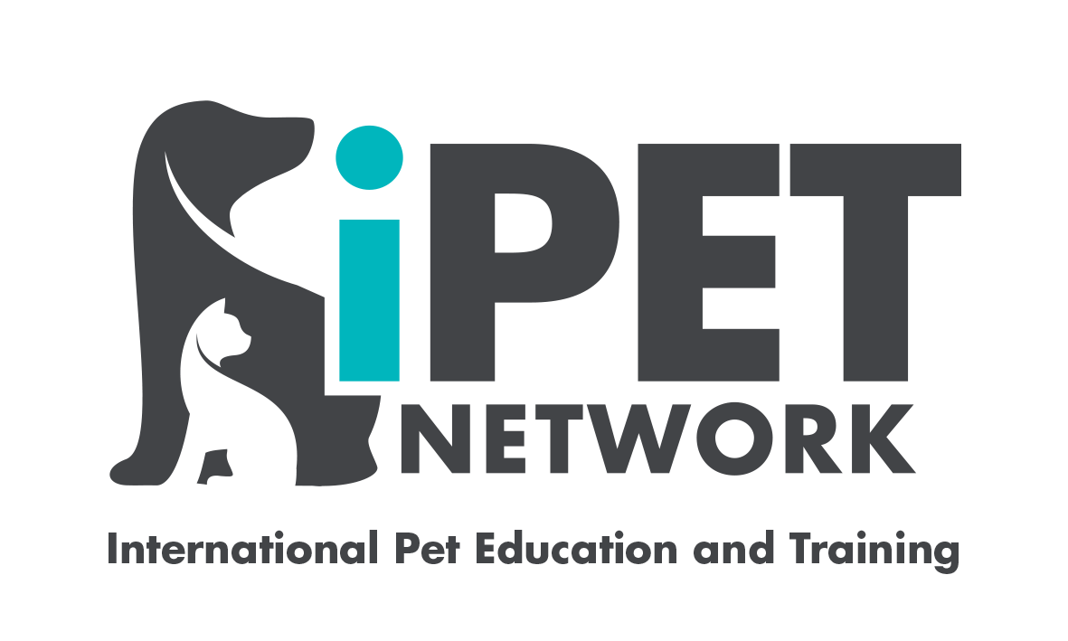 Unlocking Success: The Unique Selling Points of iPET Network