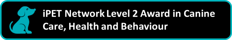 iPET Network Level 2 Award in Canine Care, Health and Behaviour 