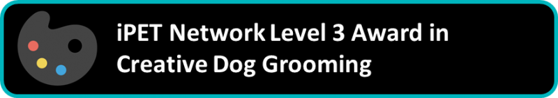 iPET Network Level 3 Award in Creative Dog Grooming