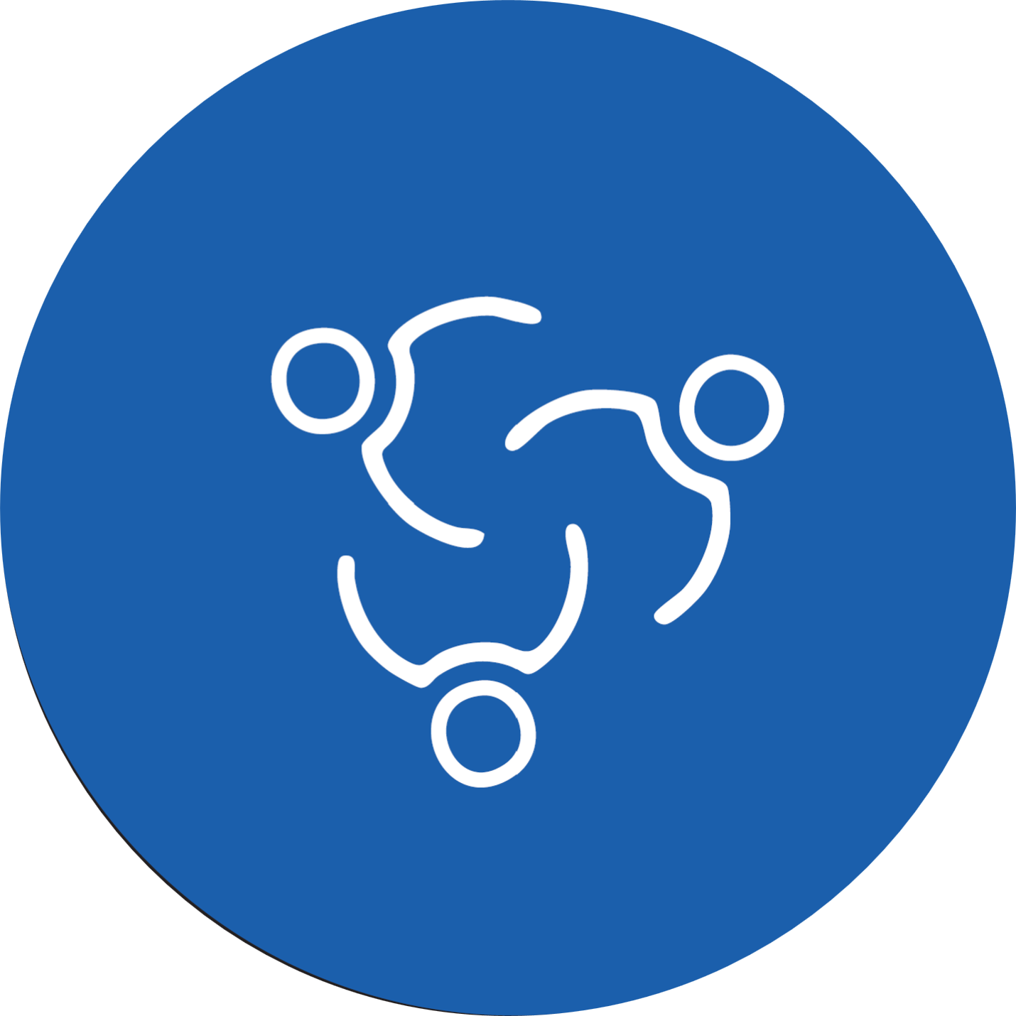 iPET NETWORK, Values