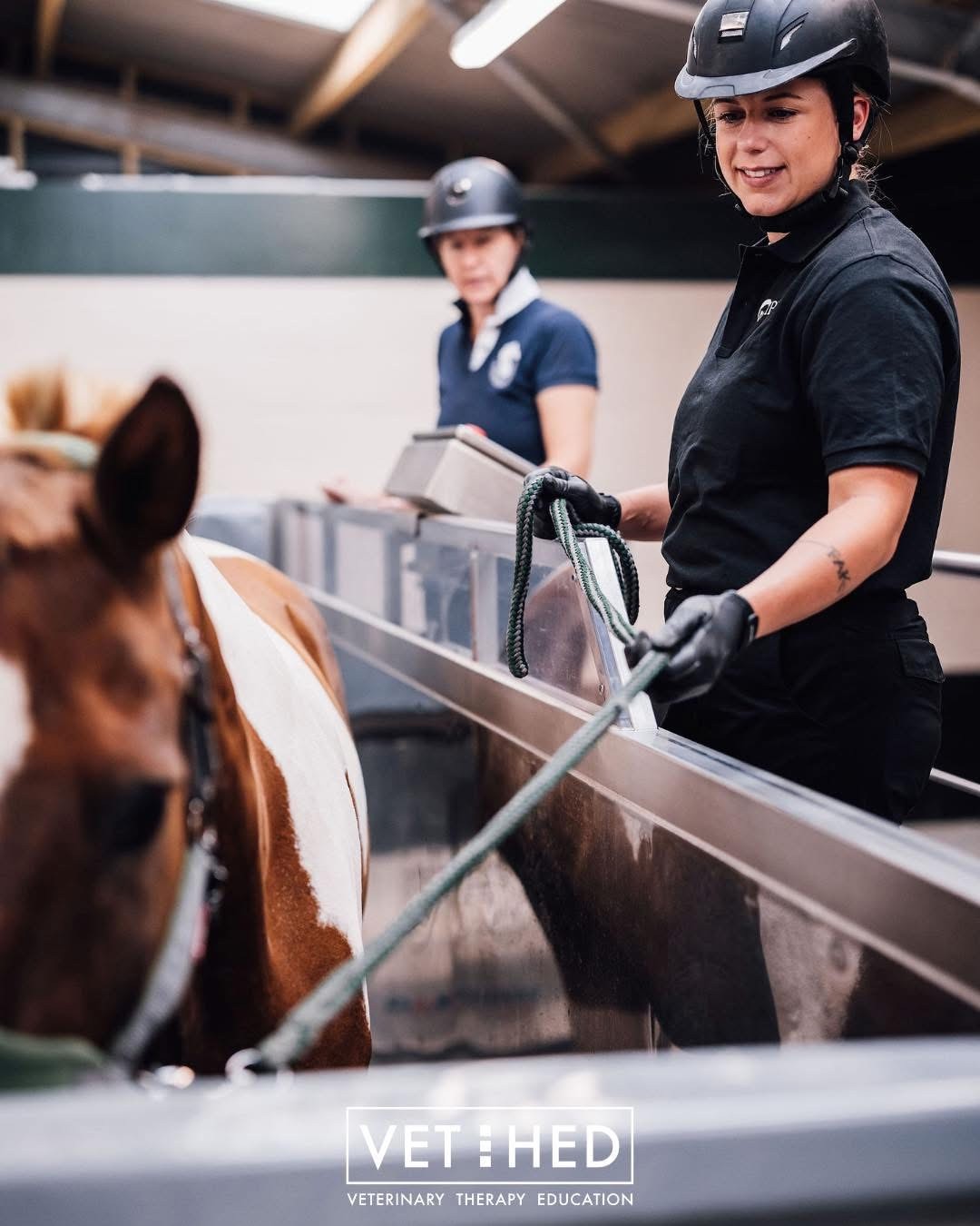 Principles of Advanced Equine Hydrotherapy