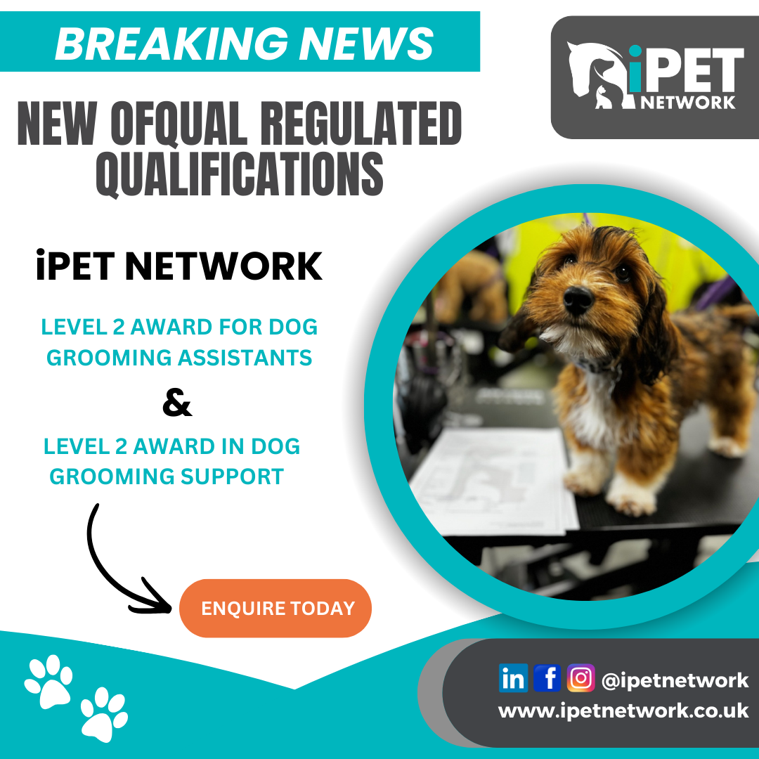 iPET Network Launches Two New Dog Grooming Qualifications