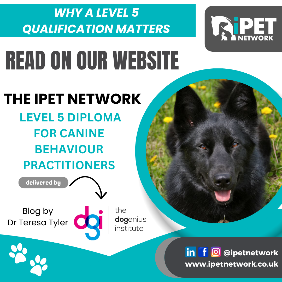 Why a Level 5 qualification matters