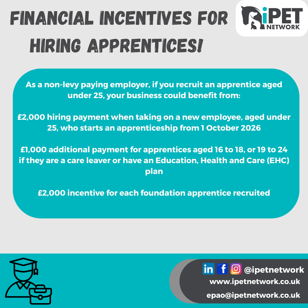 Why Now is the Perfect Time to Recruit an Apprentice Under 25