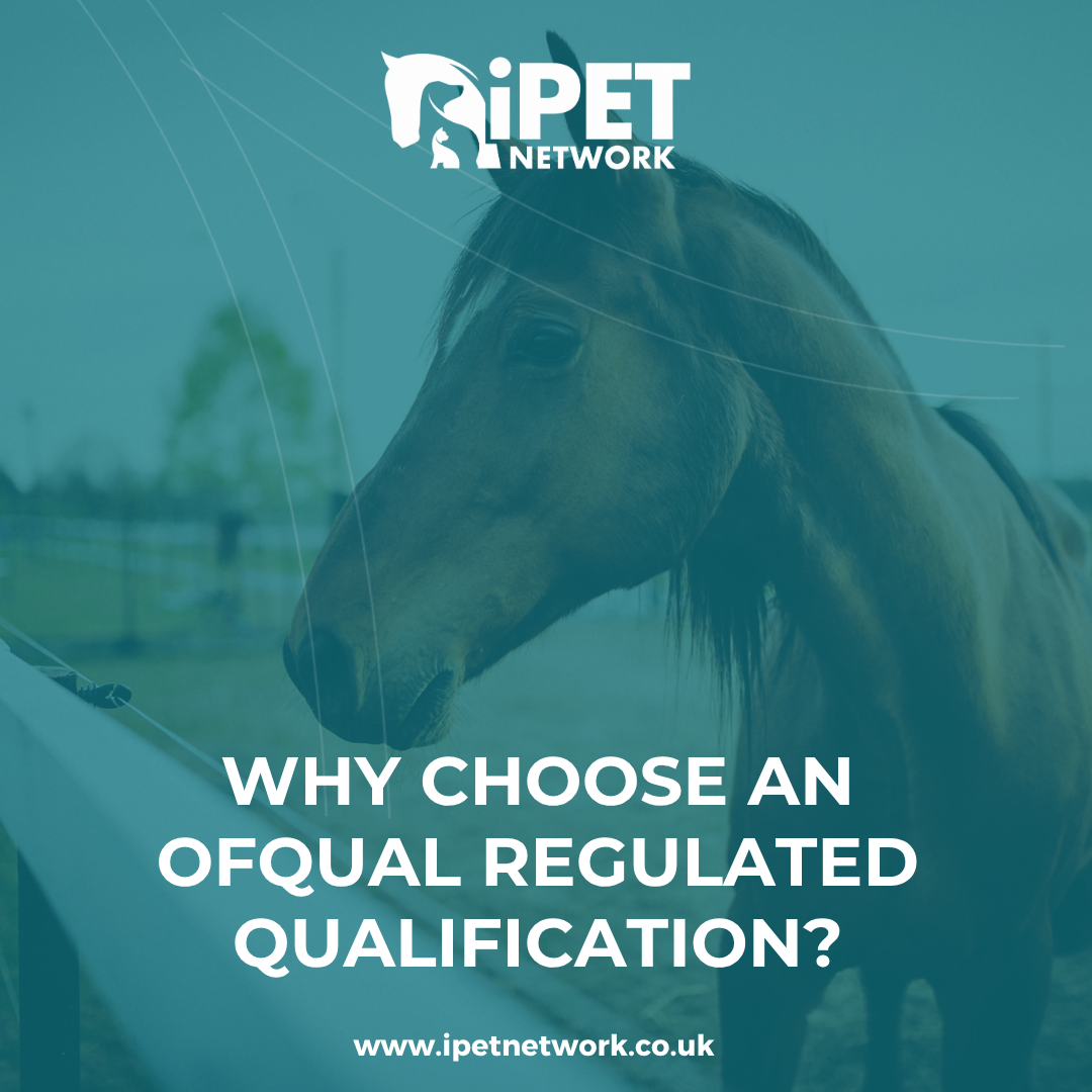 Why Choose an Ofqual Regulated Qualification? | iPET Network