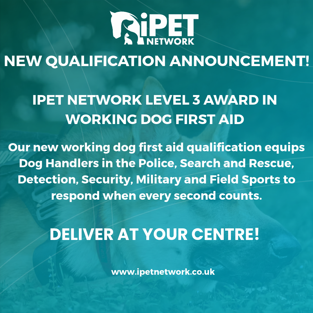 iPET Network Launches Ofqual-Regulated Level 3 Award in Working Dog First Aid 